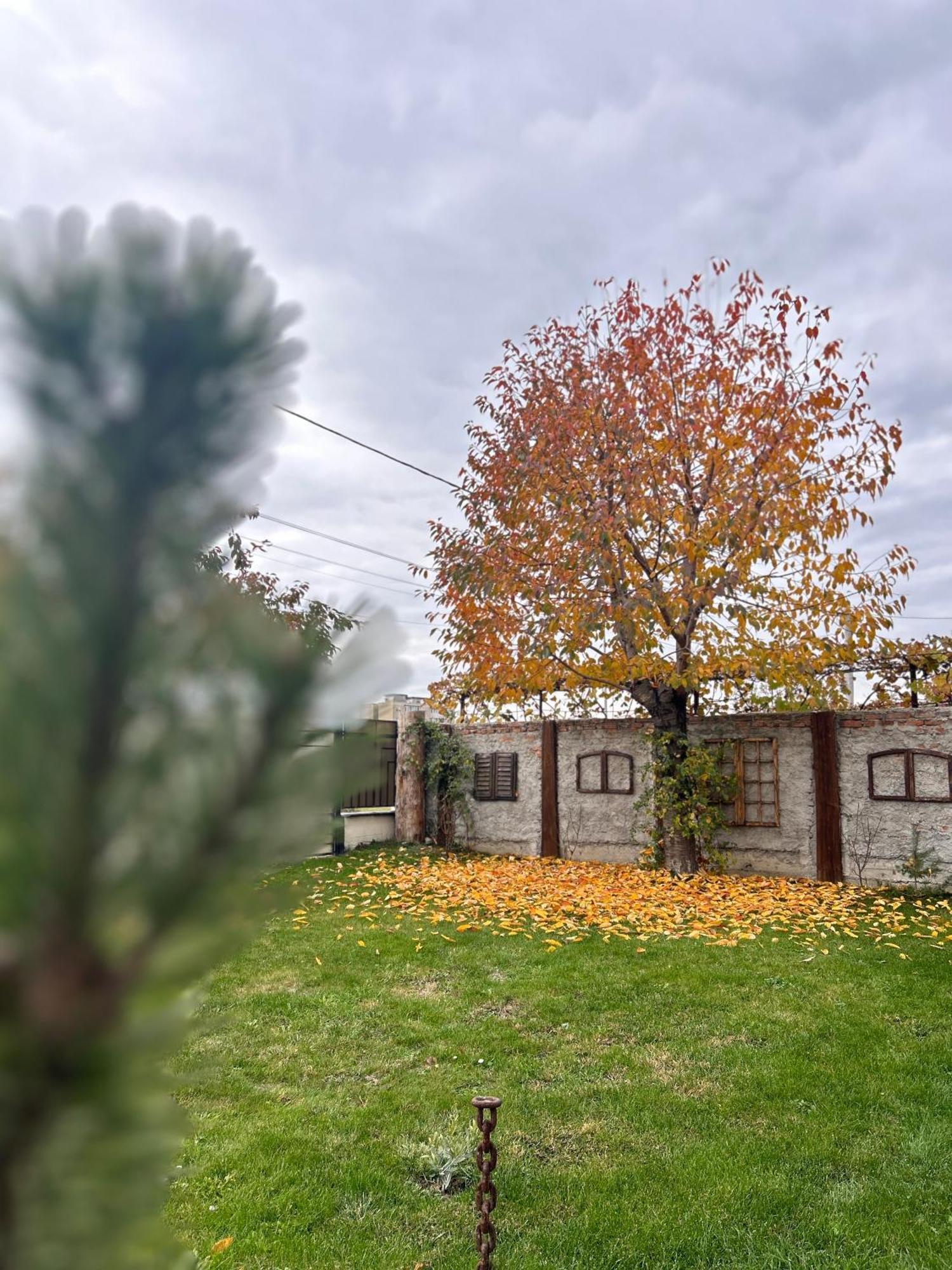 Like Home Rîşnov Εξωτερικό φωτογραφία